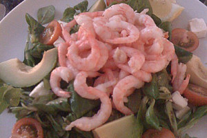 Räksallad med avocado